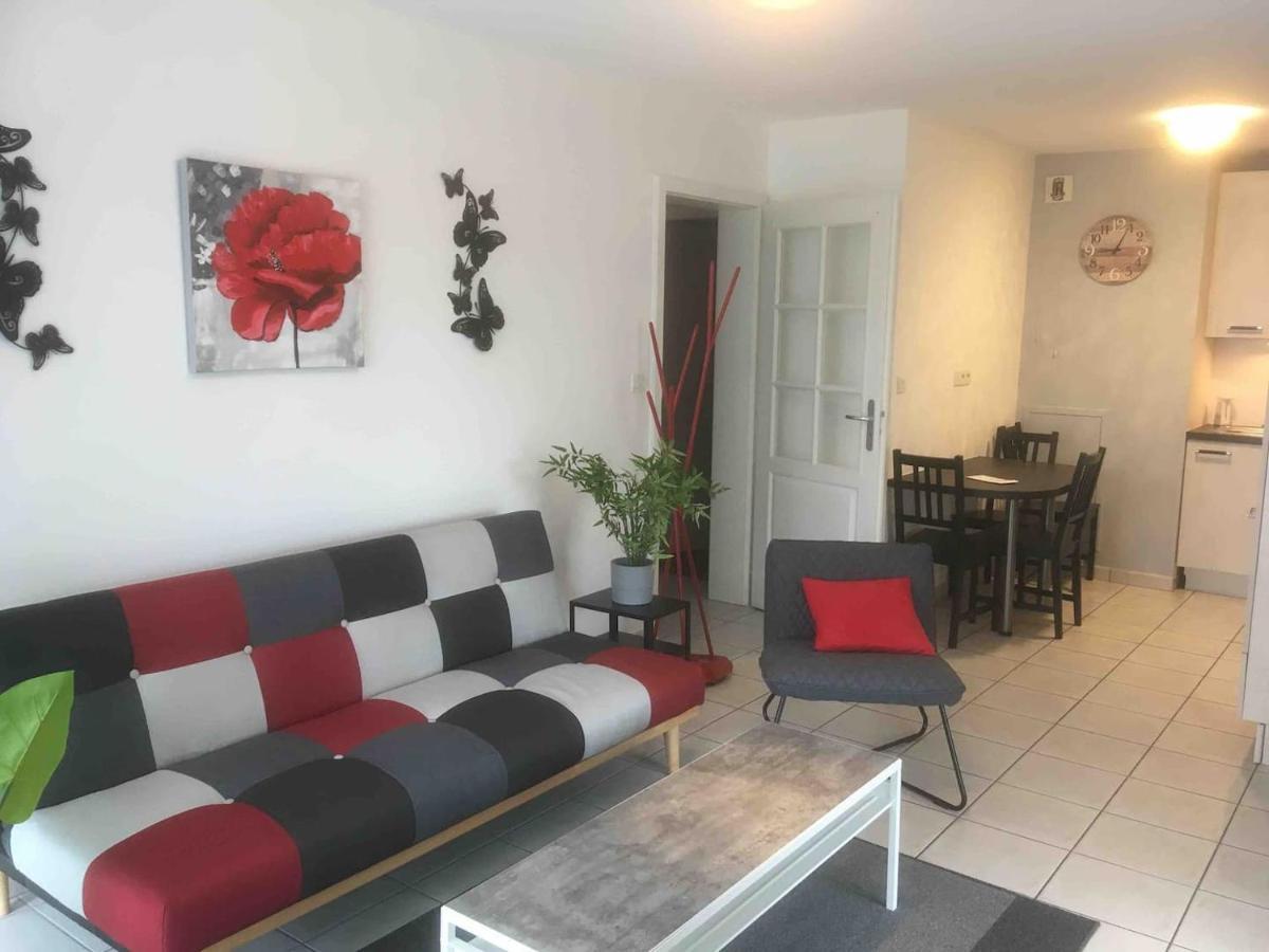 Au Coeur De Colmar Apartment Екстериор снимка